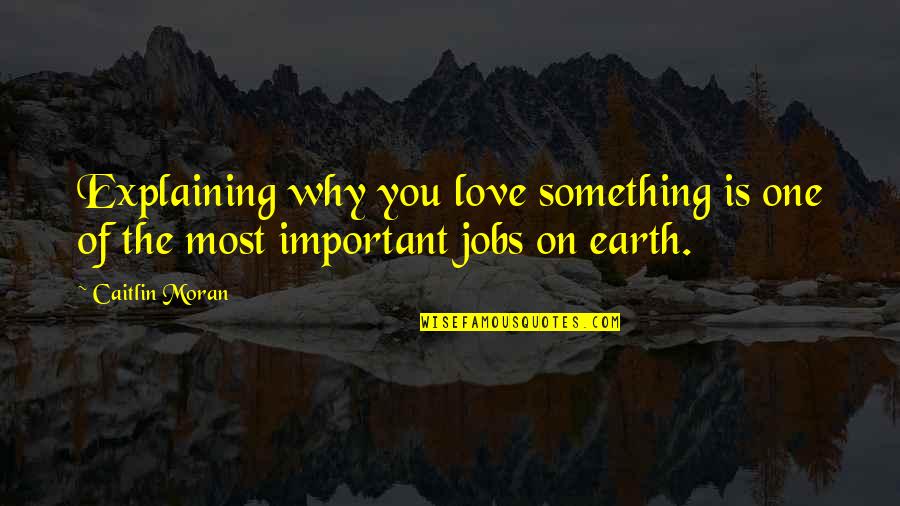 Nighty Quotes By Caitlin Moran: Explaining why you love something is one of