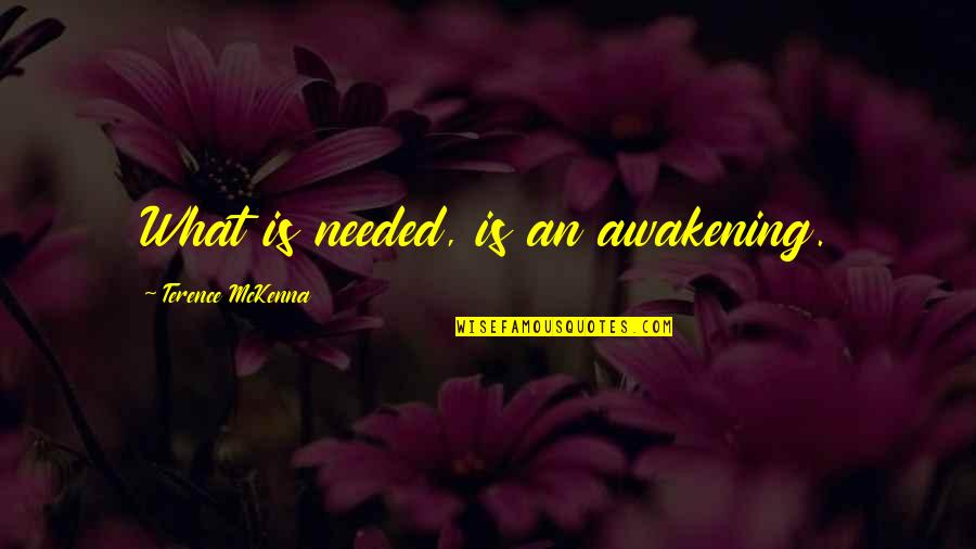Nihilist Arby's Quotes By Terence McKenna: What is needed, is an awakening.