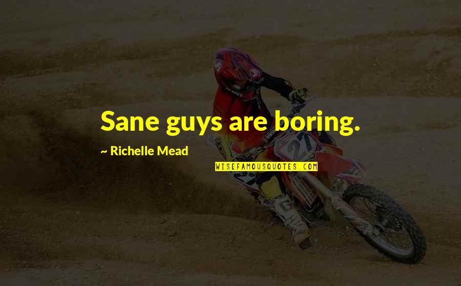 Niiles Punkari Quotes By Richelle Mead: Sane guys are boring.