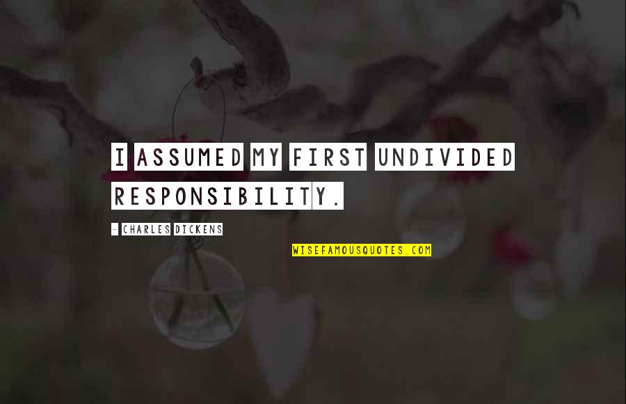 Nijntjes Stof Quotes By Charles Dickens: I assumed my first undivided responsibility.