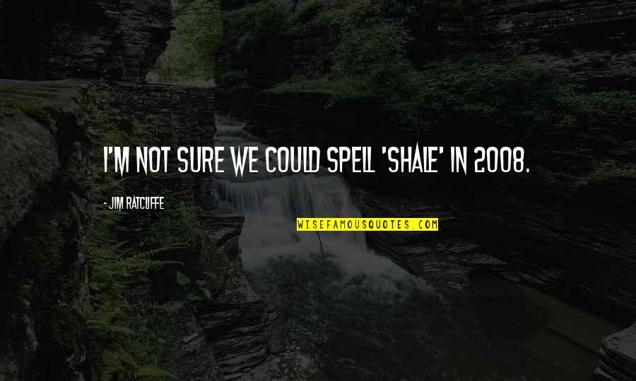 Nik Richie Quotes By Jim Ratcliffe: I'm not sure we could spell 'shale' in