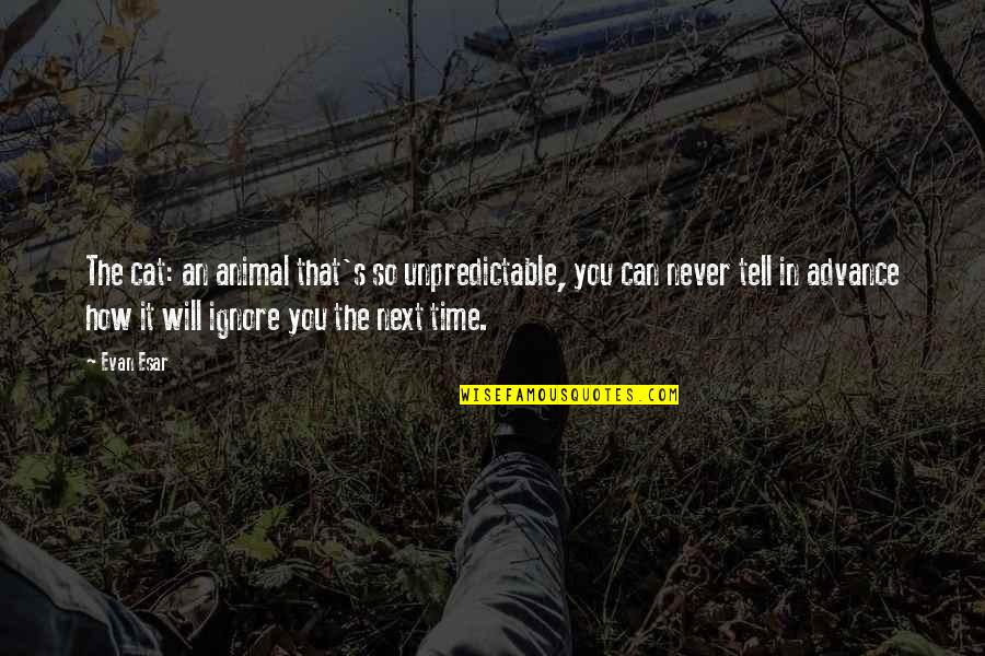 Nikachu Quotes By Evan Esar: The cat: an animal that's so unpredictable, you Nikachu Quotes By Evan Esar: The cat: an animal that's so unpredictable, you