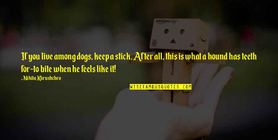 Nikita Khrushchev Quotes By Nikita Khrushchev: If you live among dogs, keep a stick.