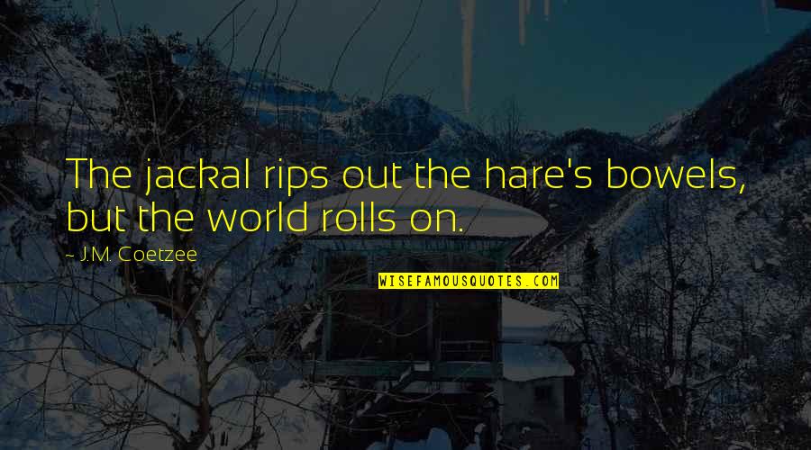 Nikitich Lowville Quotes By J.M. Coetzee: The jackal rips out the hare's bowels, but