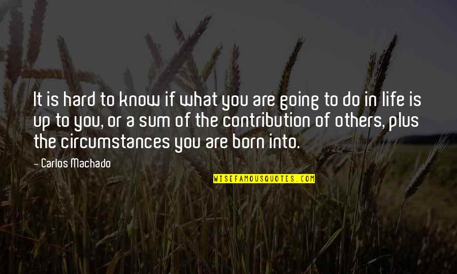 Nikitin Material Quotes By Carlos Machado: It is hard to know if what you Nikitin Material Quotes By Carlos Machado: It is hard to know if what you
