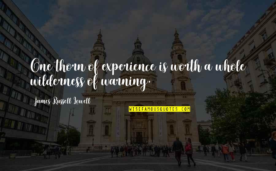 Nikkie Van Quotes By James Russell Lowell: One thorn of experience is worth a whole