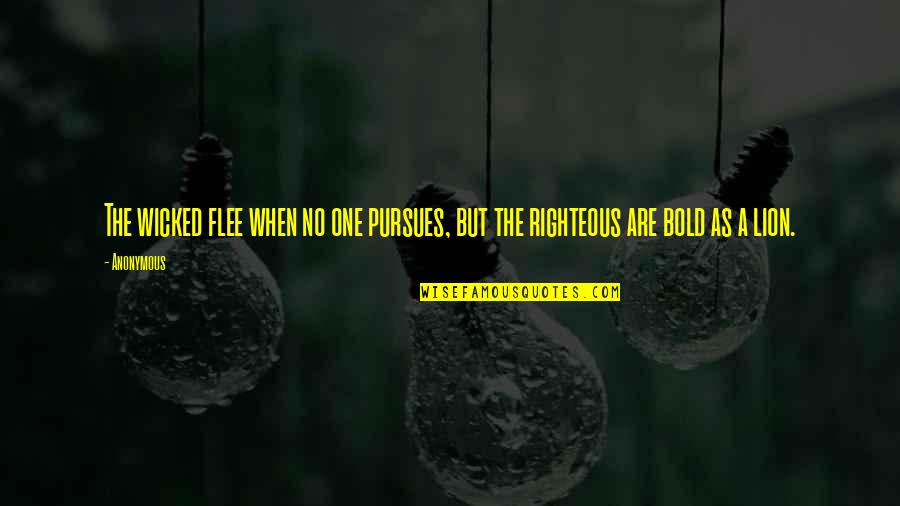 Nikolausschlitten Quotes By Anonymous: The wicked flee when no one pursues, but