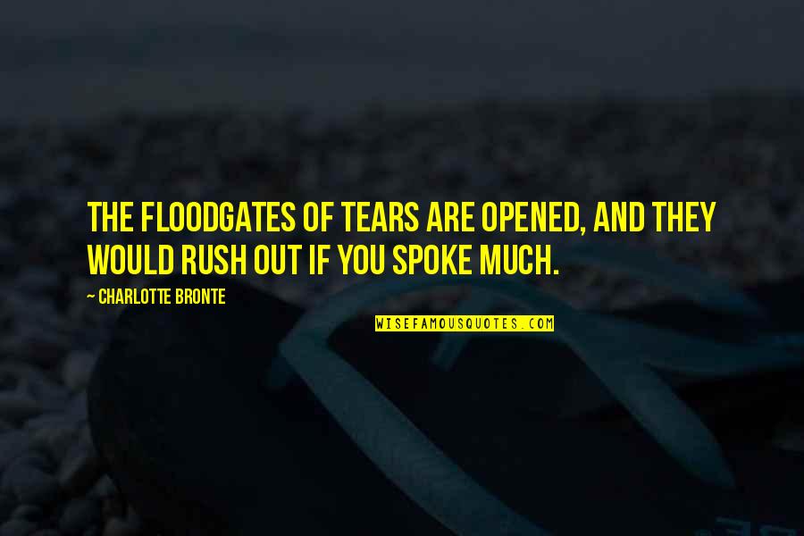 Nikolayeva Quotes By Charlotte Bronte: The floodgates of tears are opened, and they