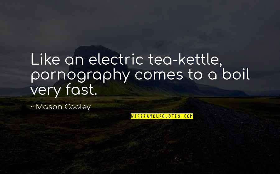 Nikolis Quotes By Mason Cooley: Like an electric tea-kettle, pornography comes to a