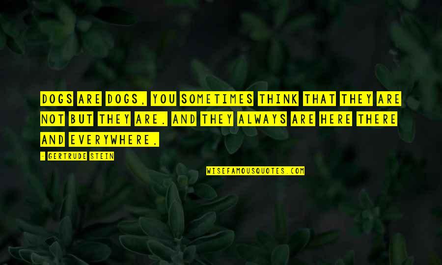 Nikolopoulos Christos Quotes By Gertrude Stein: Dogs are dogs, you sometimes think that they