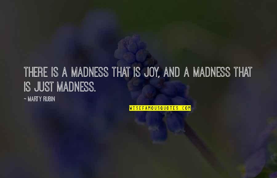 Nikoloudis Quotes By Marty Rubin: There is a madness that is joy, and