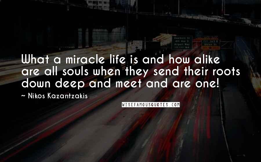 Nikos Kazantzakis quotes: What a miracle life is and how alike are all souls when they send their roots down deep and meet and are one!