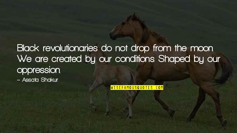 Nikunj Sharma Quotes By Assata Shakur: Black revolutionaries do not drop from the moon.