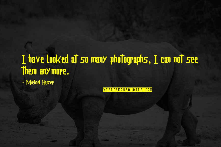 Nilanjana Sharma Quotes By Michael Heizer: I have looked at so many photographs, I Nilanjana Sharma Quotes By Michael Heizer: I have looked at so many photographs, I
