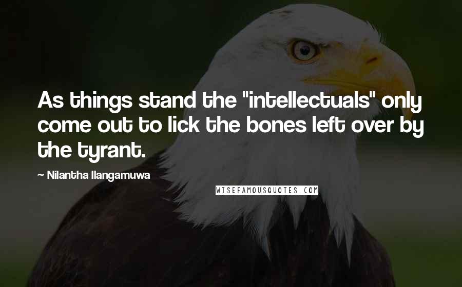 Nilantha Ilangamuwa quotes: As things stand the "intellectuals" only come out to lick the bones left over by the tyrant.