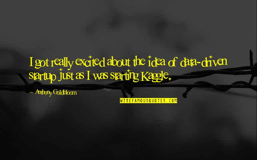 Nilaya Quotes By Anthony Goldbloom: I got really excited about the idea of Nilaya Quotes By Anthony Goldbloom: I got really excited about the idea of