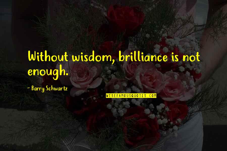 Nilight Quotes By Barry Schwartz: Without wisdom, brilliance is not enough.