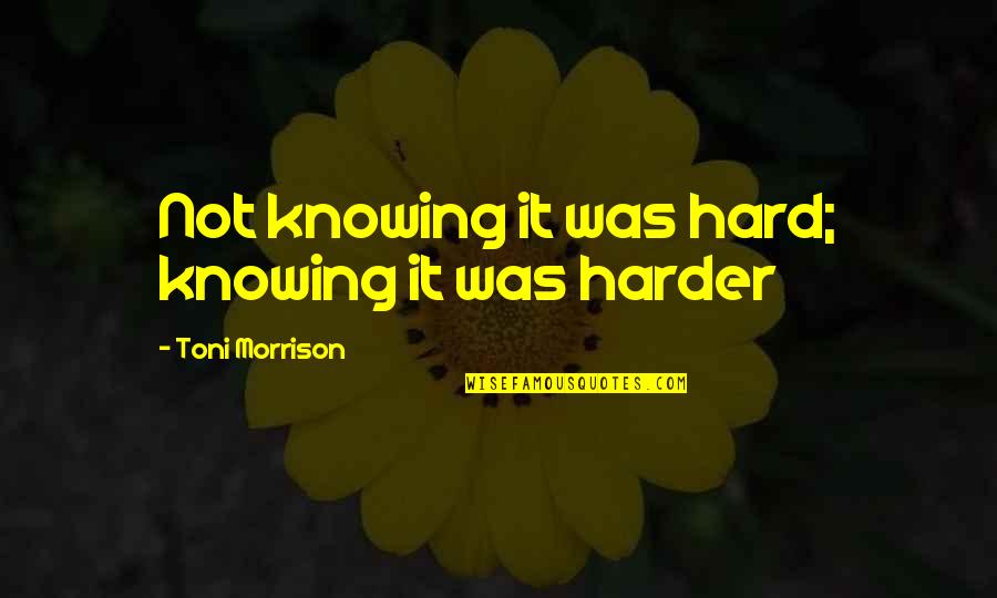 Nils Ferlin Quotes By Toni Morrison: Not knowing it was hard; knowing it was
