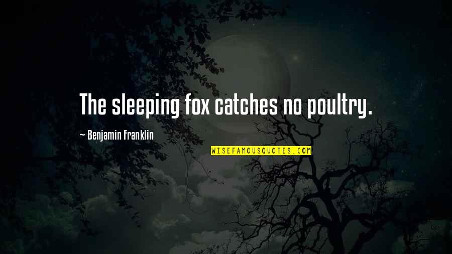 Ninepin Quotes By Benjamin Franklin: The sleeping fox catches no poultry.