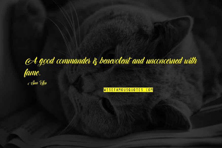 Nineteenths Quotes By Sun Tzu: A good commander is benevolent and unconcerned with
