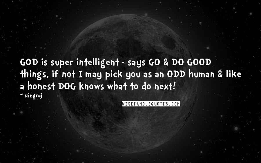 Ningraj quotes: GOD is super intelligent - says GO & DO GOOD things, if not I may pick you as an ODD human & like a honest DOG knows what to do