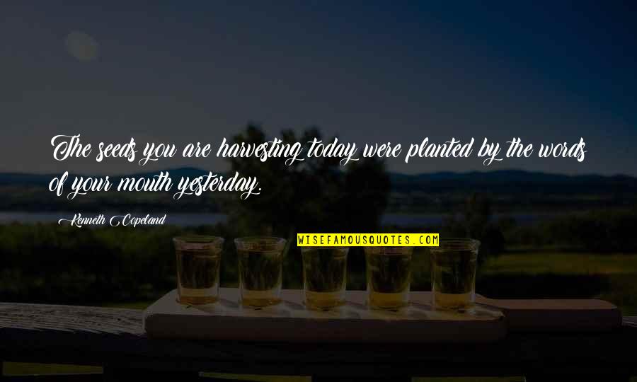 Ninja Turtle Birthday Quotes By Kenneth Copeland: The seeds you are harvesting today were planted Ninja Turtle Birthday Quotes By Kenneth Copeland: The seeds you are harvesting today were planted
