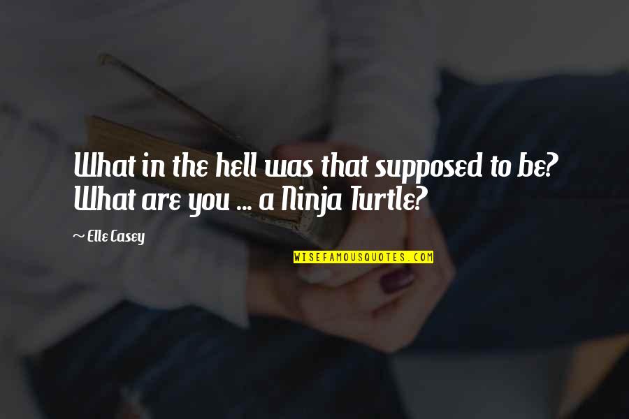 Ninja Turtle Quotes By Elle Casey: What in the hell was that supposed to