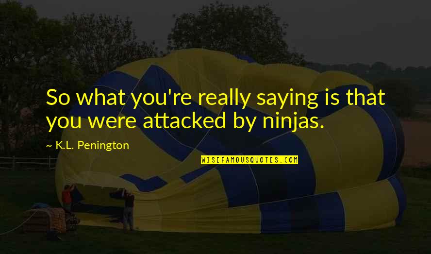 Ninjas Quotes By K.L. Penington: So what you're really saying is that you
