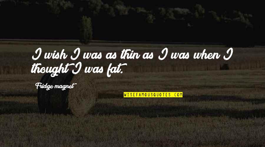 Ninnila Quotes By Fridge Magnet: I wish I was as thin as I