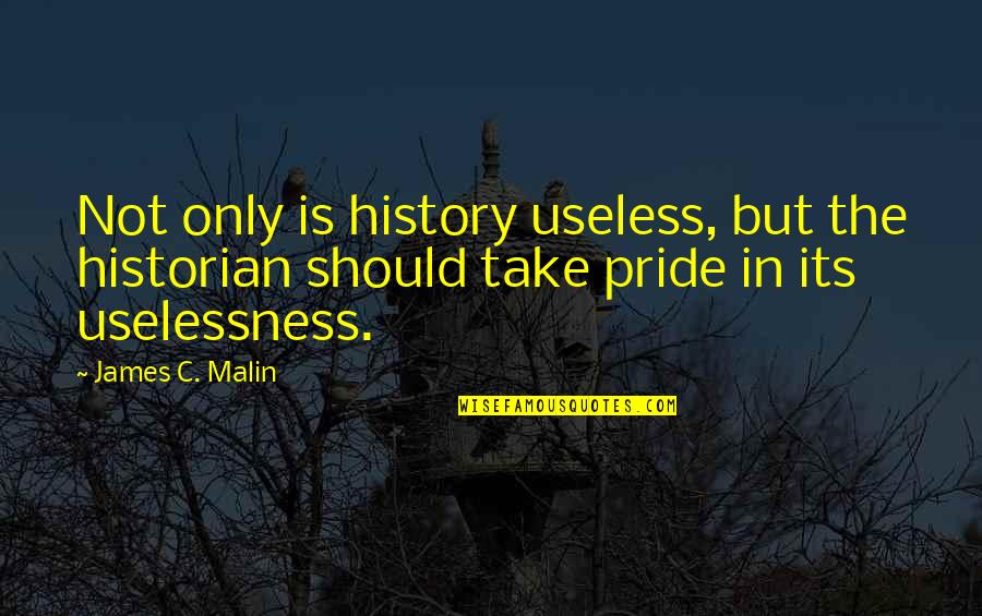 Ninnoc Quotes By James C. Malin: Not only is history useless, but the historian
