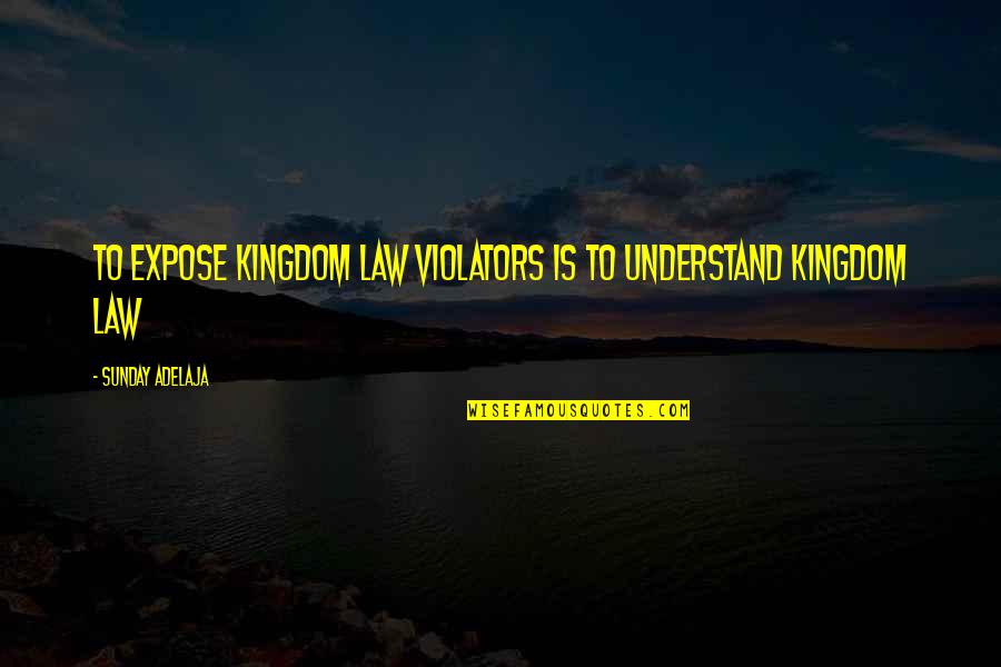 Ninos Chistosos Quotes By Sunday Adelaja: To expose kingdom law violators is to understand Ninos Chistosos Quotes By Sunday Adelaja: To expose kingdom law violators is to understand