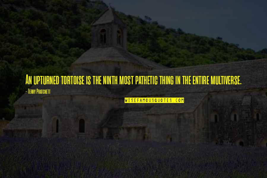 Ninth Quotes By Terry Pratchett: An upturned tortoise is the ninth most pathetic