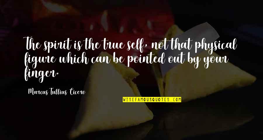 Nious Day Hab Quotes By Marcus Tullius Cicero: The spirit is the true self, not that Nious Day Hab Quotes By Marcus Tullius Cicero: The spirit is the true self, not that