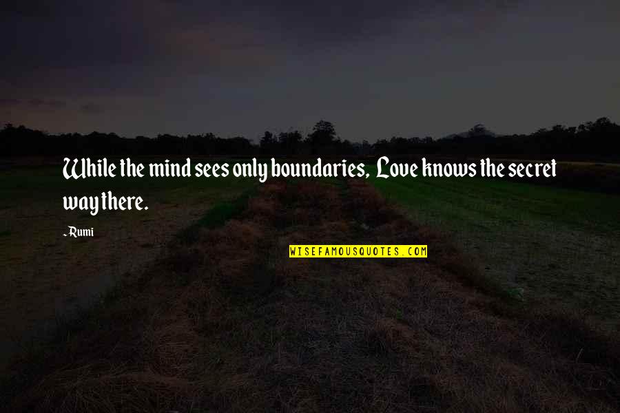 Nipkow T Rcsa Quotes By Rumi: While the mind sees only boundaries, Love knows