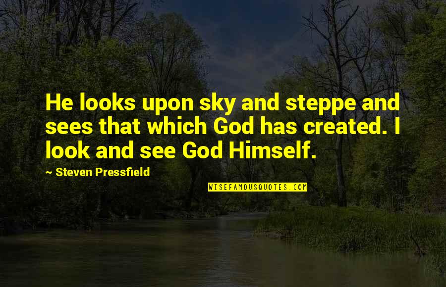Niplet Quotes By Steven Pressfield: He looks upon sky and steppe and sees Niplet Quotes By Steven Pressfield: He looks upon sky and steppe and sees