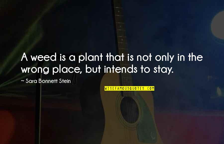 Nirguna Hinduism Quotes By Sara Bonnett Stein: A weed is a plant that is not Nirguna Hinduism Quotes By Sara Bonnett Stein: A weed is a plant that is not