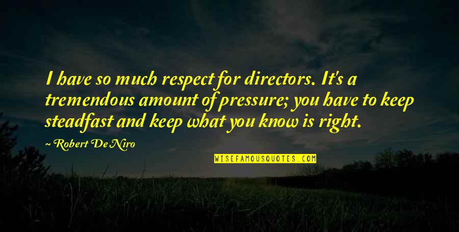 Niro's Quotes By Robert De Niro: I have so much respect for directors. It's