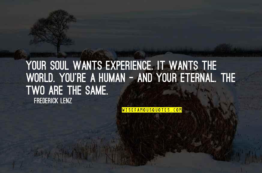 Nirvanicswim Quotes By Frederick Lenz: Your soul wants experience. It wants the world.