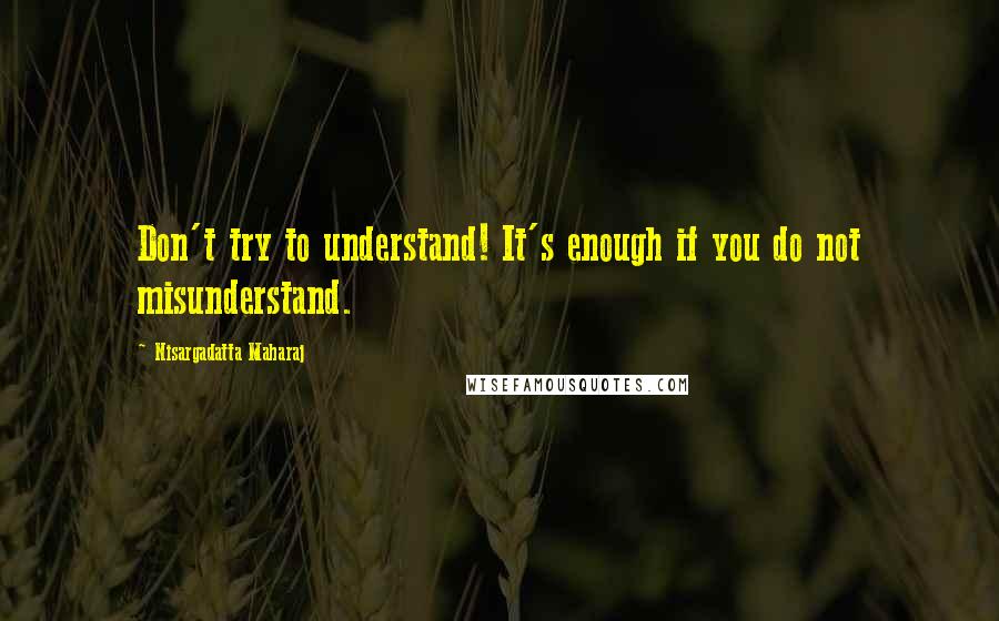 Nisargadatta Maharaj quotes: Don't try to understand! It's enough if you do not misunderstand.