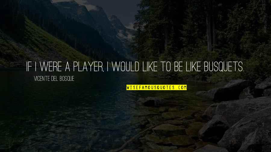 Nistler College Quotes By Vicente Del Bosque: If I were a player, I would like