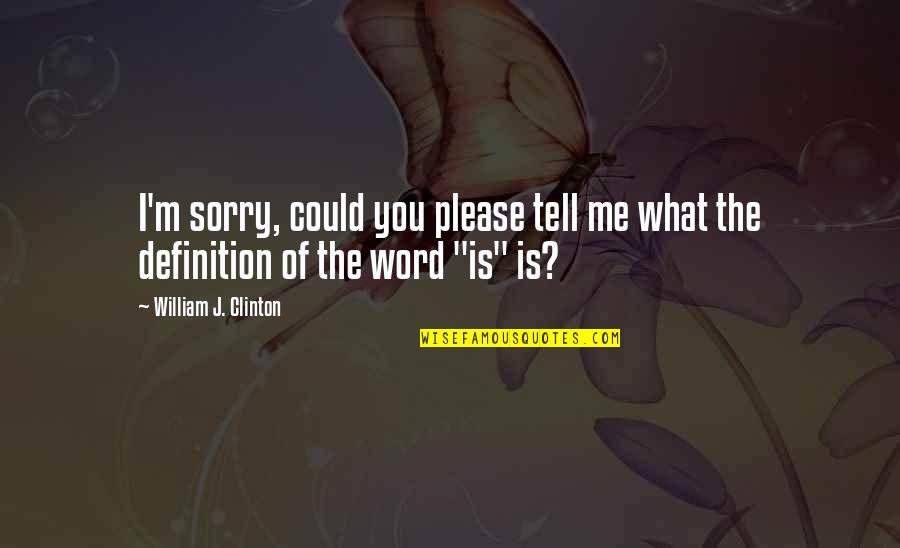 Nit Quotes By William J. Clinton: I'm sorry, could you please tell me what