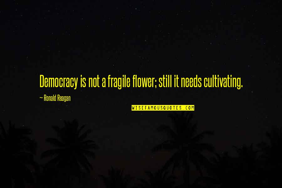 Nitamarie Quotes By Ronald Reagan: Democracy is not a fragile flower; still it