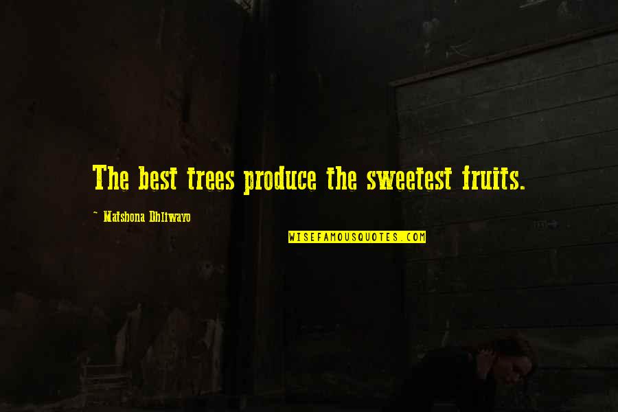 Nitchie Board Quotes By Matshona Dhliwayo: The best trees produce the sweetest fruits. Nitchie Board Quotes By Matshona Dhliwayo: The best trees produce the sweetest fruits.