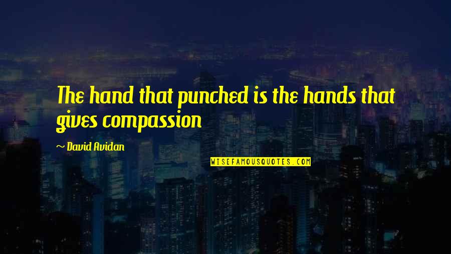 Nitely News Quotes By David Avidan: The hand that punched is the hands that