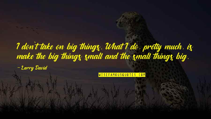 Niteroi Quotes By Larry David: I don't take on big things. What I