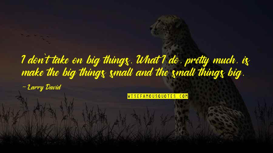 Niteroi Quotes By Larry David: I don't take on big things. What I Niteroi Quotes By Larry David: I don't take on big things. What I