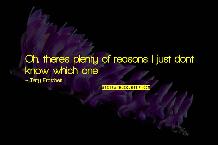 Nitipong Selanon Quotes By Terry Pratchett: Oh, there's plenty of reasons. I just don't Nitipong Selanon Quotes By Terry Pratchett: Oh, there's plenty of reasons. I just don't