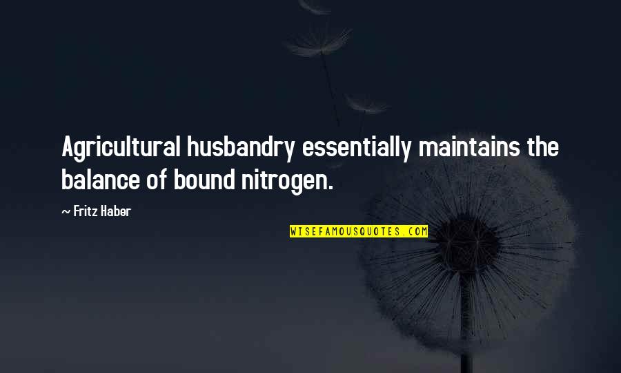 Nitrogen Are Quotes By Fritz Haber: Agricultural husbandry essentially maintains the balance of bound