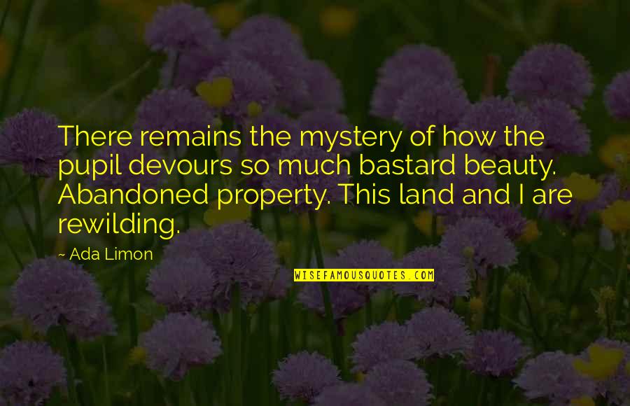 Nitrogenated Quotes By Ada Limon: There remains the mystery of how the pupil Nitrogenated Quotes By Ada Limon: There remains the mystery of how the pupil