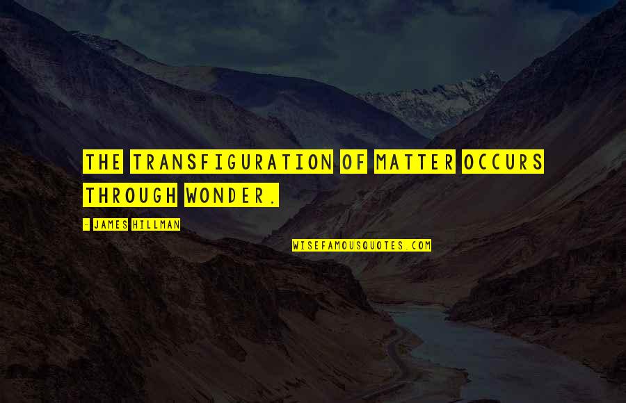 Niv Inspirational Bible Quotes By James Hillman: The transfiguration of matter occurs through wonder.